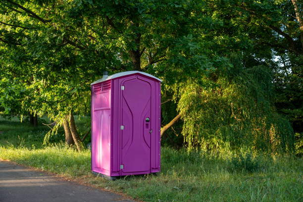 Best Affordable portable toilet rental  in Franklin Furnace, OH